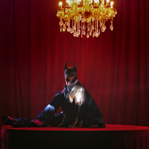 成人香蕉视频下载
