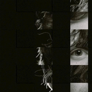 成人香蕉视频下载
