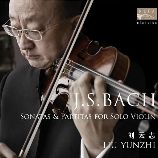 成人香蕉视频下载
